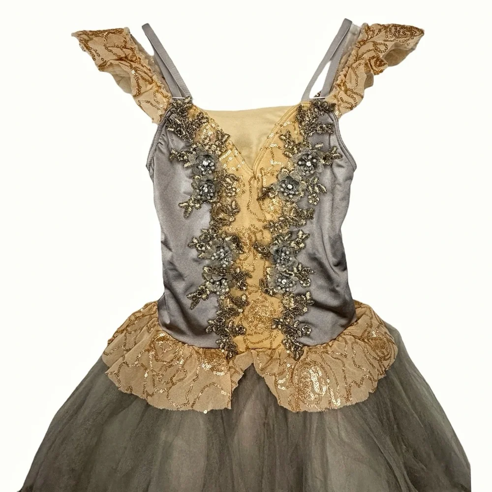 Weissman Showtime | Forgotten Dreams Elegant Ballet Tutu Dress Gray Gold, LC